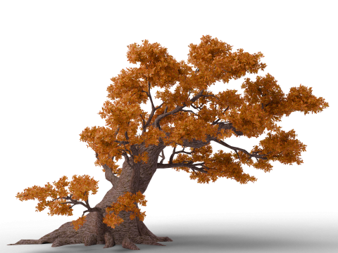 Grote herfstboomcollectie 3D Model