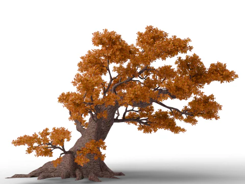 Large Autumn Tree Collection 3D Model