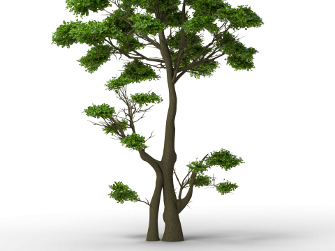 Grote herfstboomcollectie 3D Model