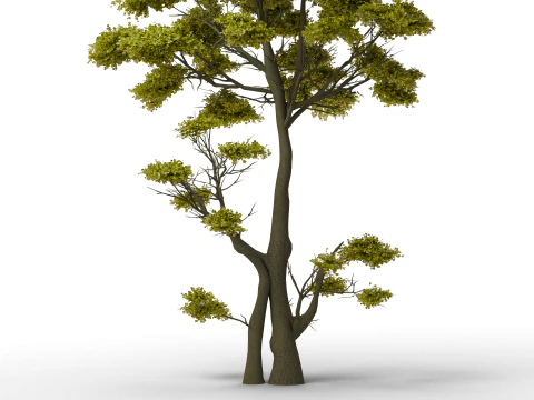 Large Autumn Tree Collection 3D Model