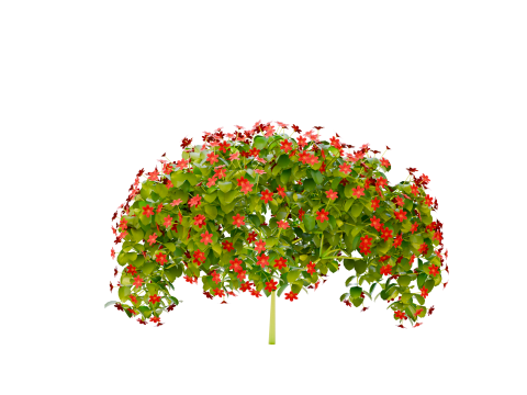 Растение цветок пбр 03 3D Модель