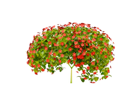 Plant flower pbr 03 3D Model