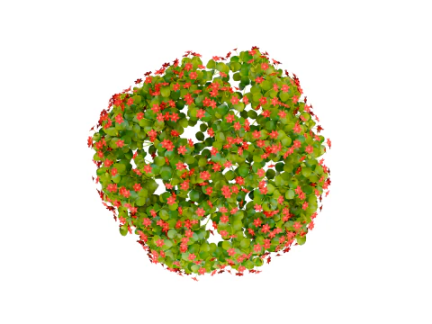 Plant flower pbr 03 3D Model
