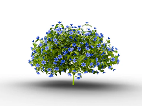 Flower plants for decoration pbr 3D Model