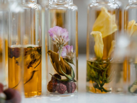 प्राकृतिक सुंदरता की कला गुलाब बनाम जेरेनियम परफ्यूम अंजीर सुगंधित परफ्यूम सुगंध और चाय सुगंधित पी CG टेक्स्चर्स