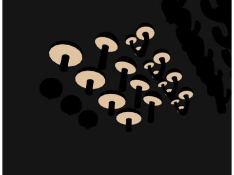 Природа 2 3D Модель