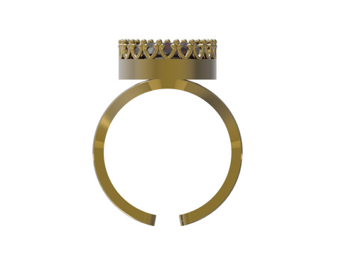 Pasjans otwarty z koroną Model gr0175 Model do druku 3D Model do druku 3D