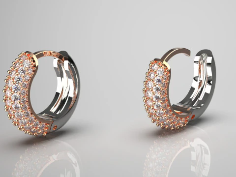 Woman luxury jewelry STL 3D gold earring model je0060 3D Print Model