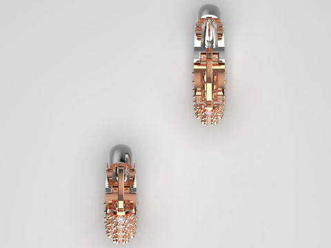 Woman luxury jewelry STL 3D gold earring model je0060 3D Print Model