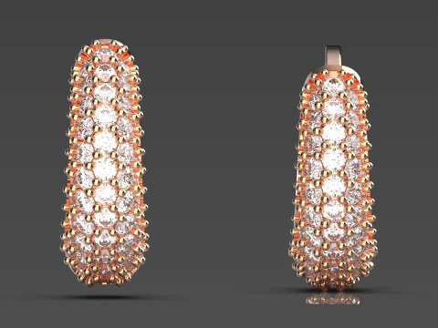 Woman luxury jewelry STL 3D gold earring model je0060 3D Print Model