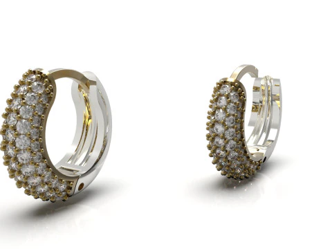 Woman luxury jewelry STL 3D gold earring model je0060 3D Print Model