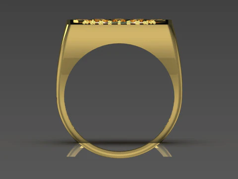 Eye of the Eye Protection and Beauty STL 3D printable ring jr00163 3D Print Model