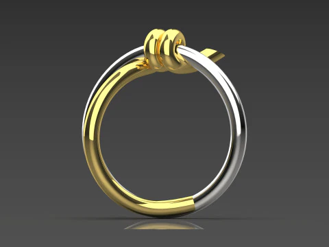 Modern Texture STL 3D gold Ring model gr0053 3D Print Model