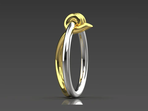 Modern Texture STL 3D gold Ring model gr0053 3D Print Model