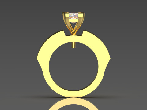 Long-Ring Prince Solitaire Ring 3D Print Model