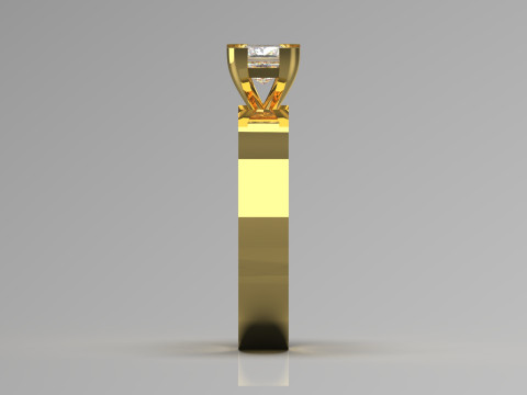 Long-Ring Prince Solitaire Ring 3D Print Model