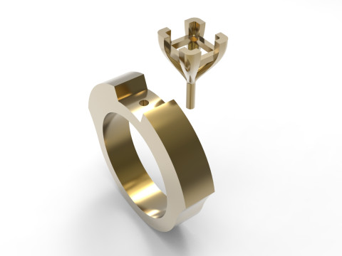 Long-Ring Prince Solitaire Ring 3D Print Model