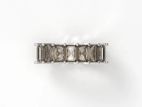 Eternity radiant stl 3d jewelry ring model rr0018 3D Print Model