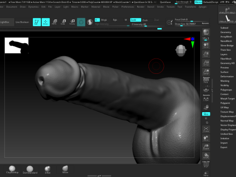 3D 印刷用の現実的な男性生殖器解剖学の高詳細 STL モデル 3Dモデル
