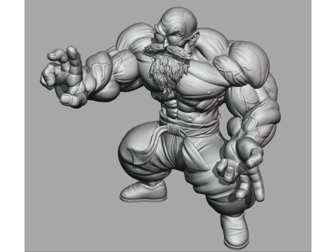 Полная сила Мастера Роши 3D Модель