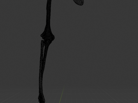 Tulang Lengan Manusia Model 3D