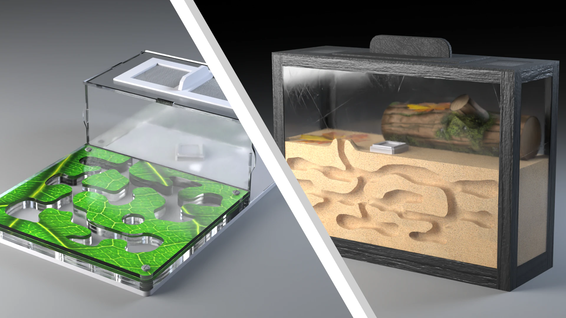 Formicarium Vertical and Horizontal 3D Model .c4d .max .obj .3ds .fbx .stl .blend