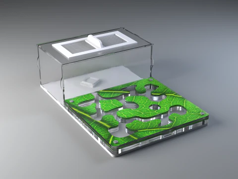 Formicarium Vertical and Horizontal 3D Model