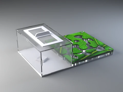 Formicarium Vertical and Horizontal 3D Model