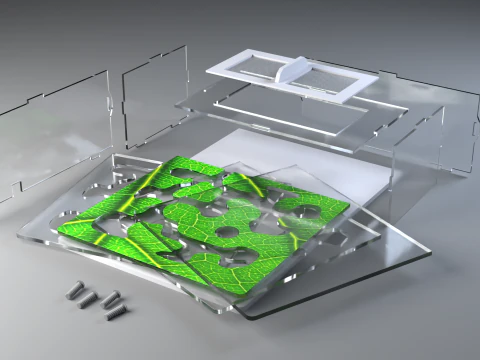 Formicarium Vertical and Horizontal 3D Model