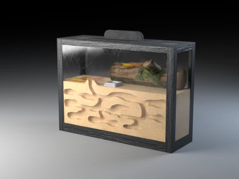 Formicarium Vertical and Horizontal 3D Model