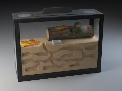 Formicarium Vertical and Horizontal 3D Model