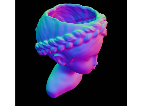 Female Head Planter 3D Print Model