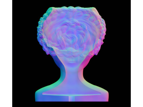 Female Head Planter 3D Print Model