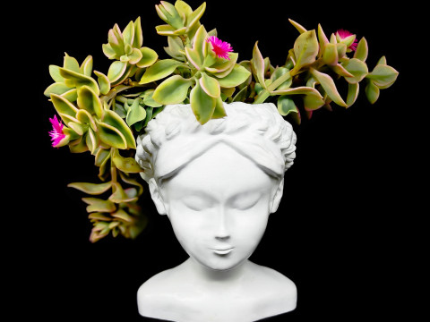 Female Head Planter 3D Print Model