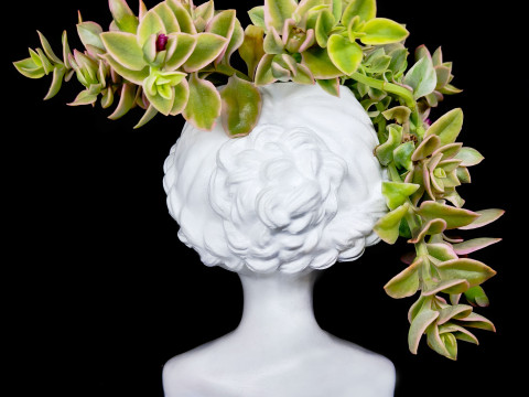 Female Head Planter 3D Print Model