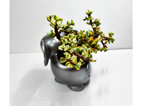 ELEPHANT PLANTER 3D Print Model