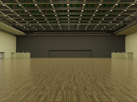 MICO Sala Gold 3D Модель