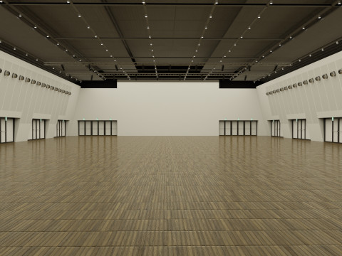 MICO Sala Silver 3D Модель