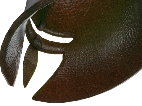 Helmet 3D Model