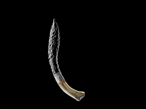 Obsidian blade 3D Model