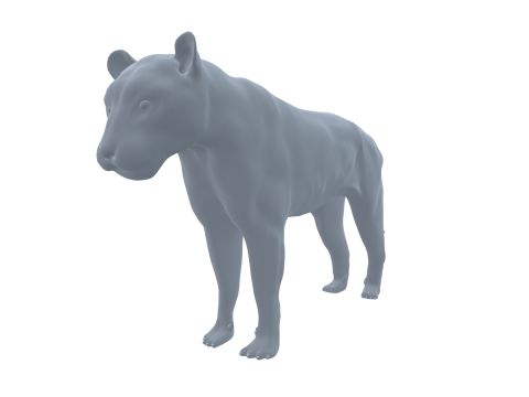 Realistic Tiger 3D Base Model 3D Model