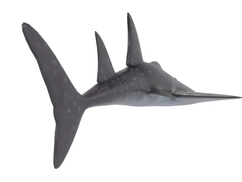 Bowmouth guitarfish 3D Model