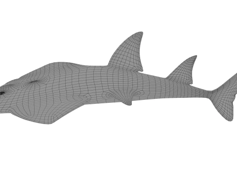 Bowmouth guitarfish 3D Model
