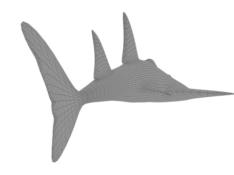 Bowmouth guitarfish 3D Model