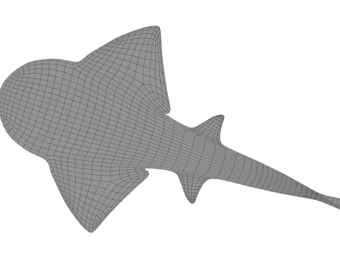 Bowmouth guitarfish 3D Model