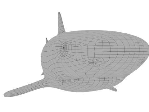 Blacktip reef shark 3D Model
