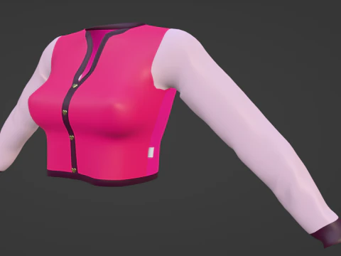 Jacket Heart Rigged with Ebody Reborn-Legacy-Larax Second Life - Rigged with UV map 3D Model