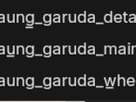 Maung Garuda 3D Model