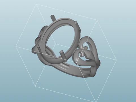 Natures Embrace Twisted Vine Oval Ring Organic Shank - Print Ready-3DM-STL 3D Print Model