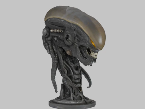 Чужа голова 3D Модель